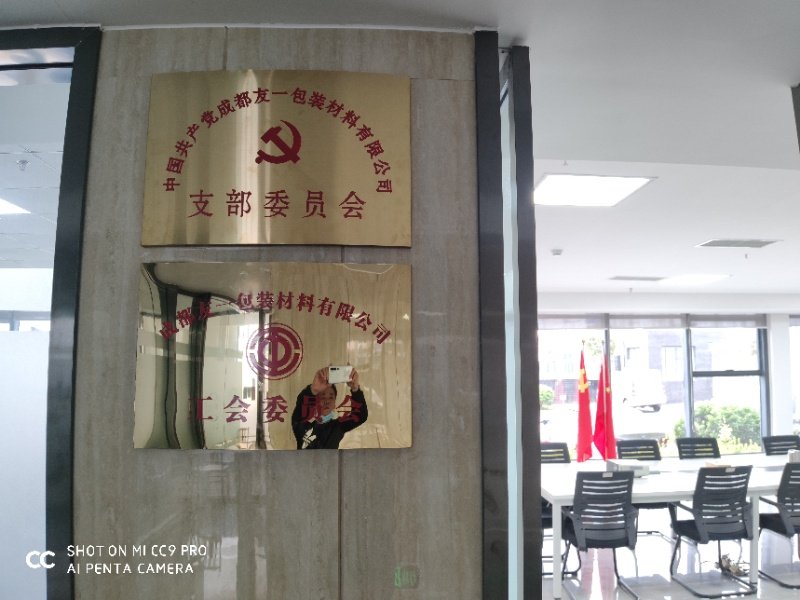 热烈祝贺GA黄金甲(中国)最新官方网站集团成都分公司党支部在2020年3月11日授牌成立，支部书记曹云(行政部经理)